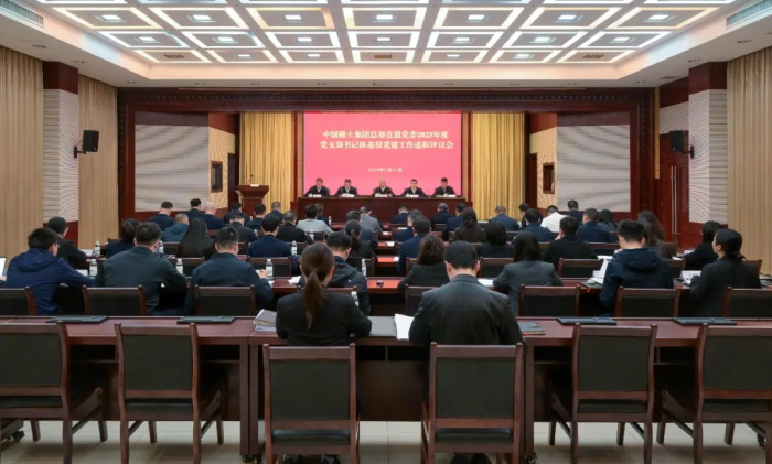 大资本210cc总部直属党委召开2025年度党支部书记抓基层党建工作述职评议会